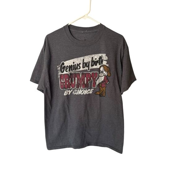 Authentic Disney World Genius By Birth, Grumpy By Choice Gray T-Shirt Large - Picture 1 of 6